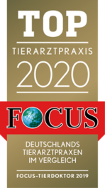 Focus Top Tierarzt 2020