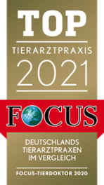 Focus Top Tierarzt 2021