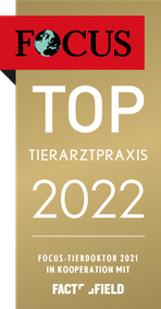 Focus Top Tierarzt 2022